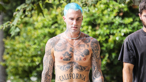 Adam Levine Debuts Blue Hair on 'The Voice' Finale - wide 5