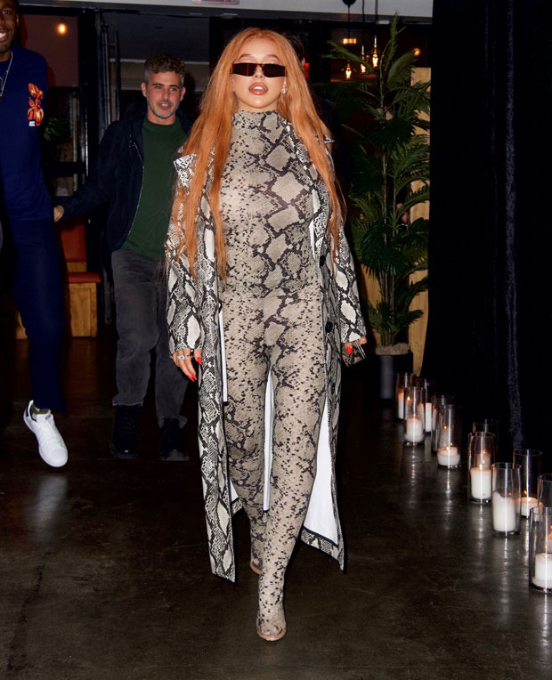 Christina Aguilera’s Red Hair & Snakeskin Catsuit: Photos – Hollywood Life