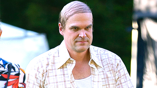 David Harbour Looks Unrecognizable Without Hair While Filming ‘We Have A Ghost’ — Photos