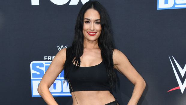 Rock a Pink Crop Top Like Nikki Bella - Celebrity Style Guide