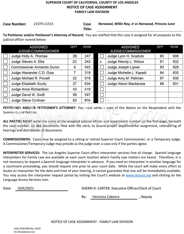 ray z divorce court documents