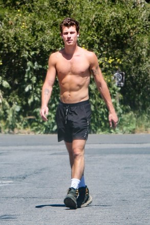 Hollywood, CA  - *EXCLUSIVE*  - Shirtless singer Shawn Mendes shows off his fit physique during a sun soaked hike through the Hollywood Hills.Pictured: Shawn Mendes BACKGRID USA 21 APRIL 2023 USA: +1 310 798 9111 / usasales@backgrid.comUK: +44 208 344 2007 / uksales@backgrid.com*UK Clients - Pictures Containing ChildrenPlease Pixelate Face Prior To Publication*