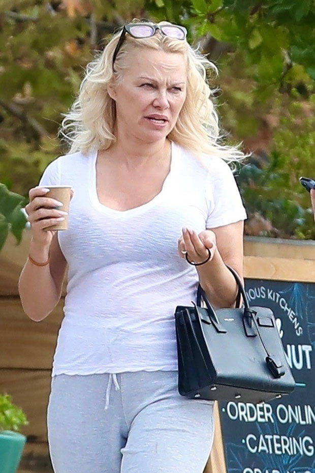 Pamela Anderson 54 Goes Makeup Free And Rocks Nearly Sheer White Shirt In Malibu Celebrity Tidings