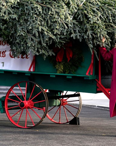 First lady Jill Biden receives the official 2021 White House Christmas tree at the White House, in Washington. This year's tree is an 18.5-foot Fraser fir presented by Rusty and Beau Estes of Peak Farms in Jefferson, N.C
Jill Biden, Washington, United States - 22 Nov 2021