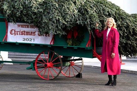 First lady Jill Biden receives the official 2021 White House Christmas tree at the White House, in Washington. This year's tree is an 18.5-foot Fraser fir presented by Rusty and Beau Estes of Peak Farms in Jefferson, N.C
Jill Biden, Washington, United States - 22 Nov 2021