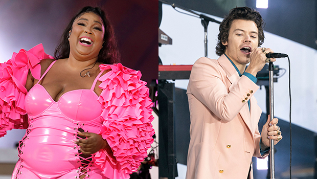 BTS, Lizzo Hang Out at Harry Styles' L.A. Concert – Billboard