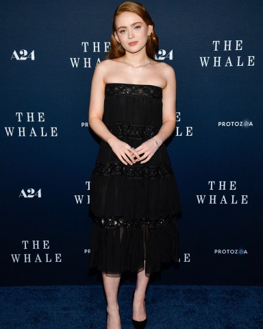 Sadie Sink attends the premiere of "The Whale" at Alice Tully Hall, in New York
NY Premiere of "The Whale", New York, United States - 29 Nov 2022