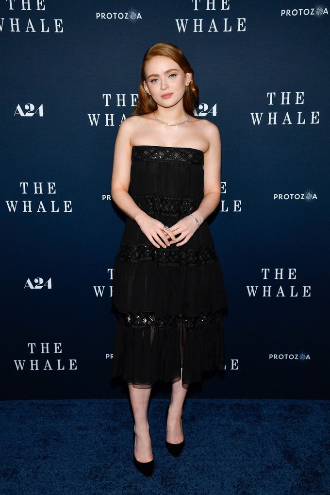 NY Premiere of “The Whale”, New York, United States – 29 Nov 2022