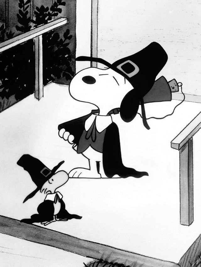 Thanksgiving Movies Everyone Will Enjoy & Where To Stream