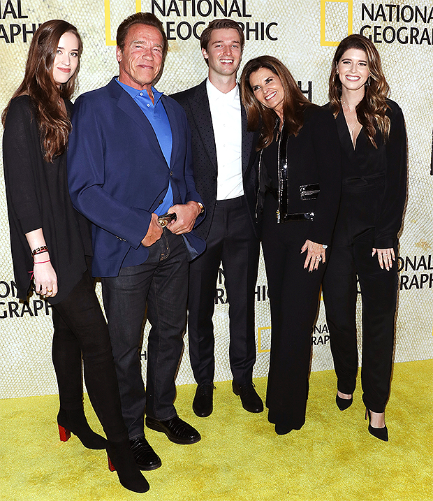 Schwarzenegger family 