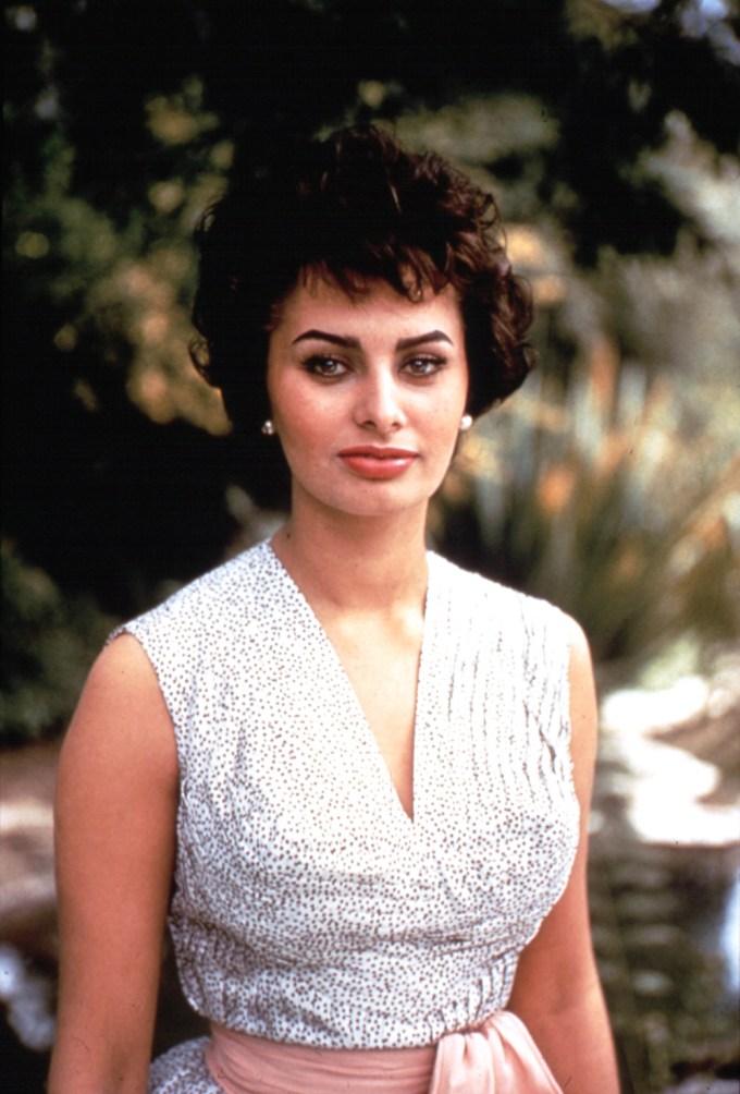 Sophia Loren Stuns For The Camera