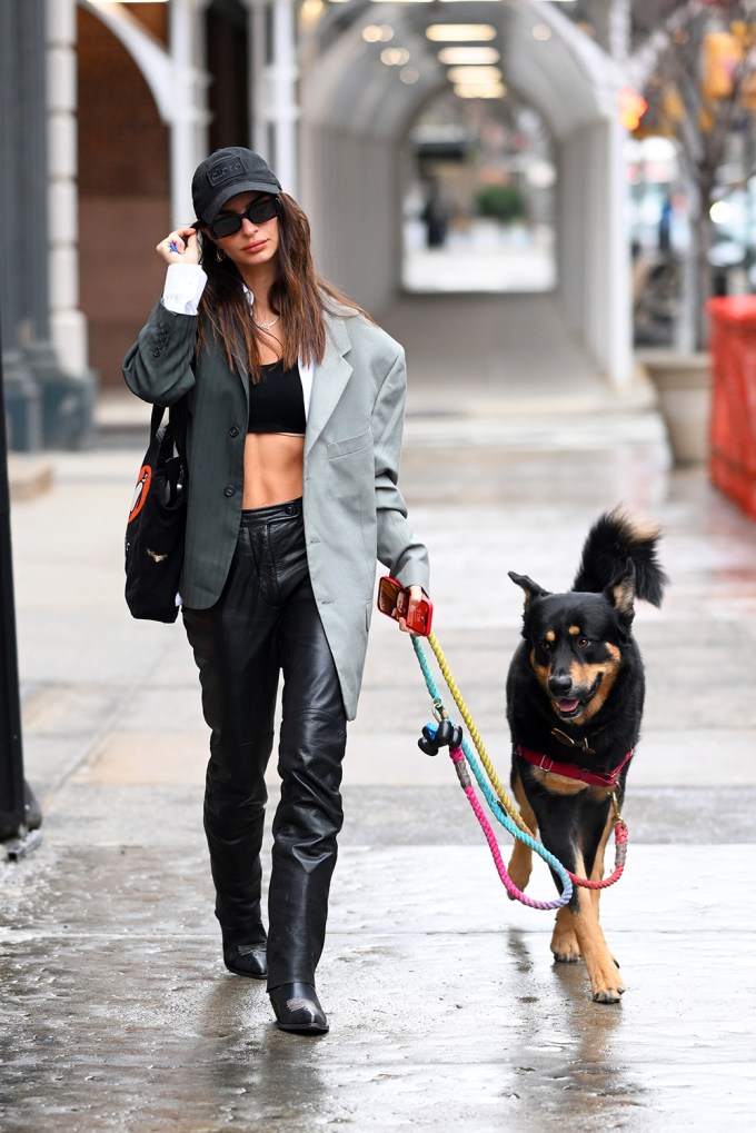 Emily Ratajkowski Walking Her Dog