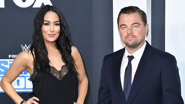 Brie Bella Reveals She Slid Into Leonardo DiCaprio’s DMs & Tried To Get His Attention.jpg