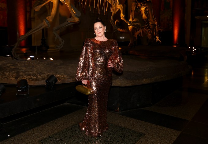 梅麗莎·麥卡錫 2025 年