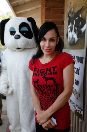 Nadya Suleiman Octopets mom Nadya Suleiman unveiled a banner reading, "Don't let your dog or cat become an octomom.  always spay or neuter" Outside his home in La Habra, Calif.  People for the Ethical Treatment of Animals is paying Peta Suleiman US$5,000 to display the sign in her front yard.  As an added incentive, the animal rights group is providing a month's supply of veggie burgers and hot dogs for Suleiman's 14 kids.  Suleiman Facing Possible Domestic Foreclosure Octuplets, La Habra, USA