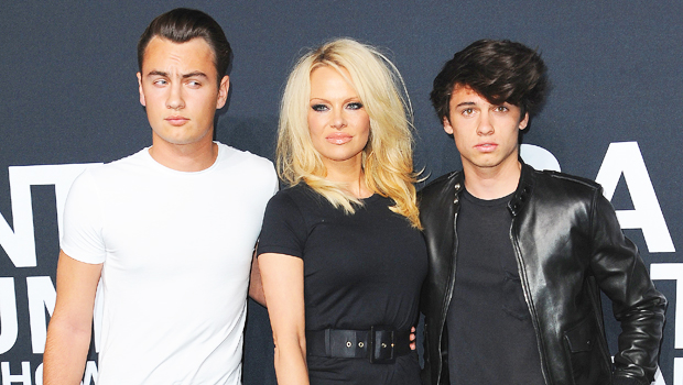 Pamela Anderson’s Sons Supportive Of Her Divorce From Dan Hayhurst ...