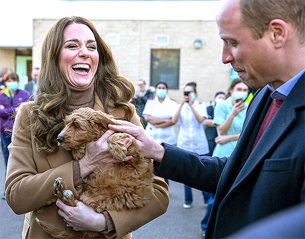 Kate Middleton & Prince William Cradle Therapy Dog During Royal Visit – Life