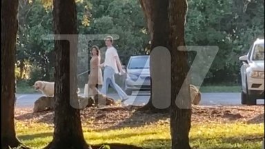 Shawn Mendes, Camila Cabello