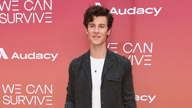 Shawn Mendes Stumbles Down Runyon Canyon In LA After Flexing Shirtless — Watch
