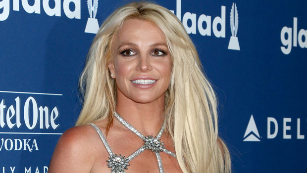 Britney Spears Admits Her New Purple Hair Makeover Is ‘Bad’ As She Dances In Shorts & Crop Top.jpg