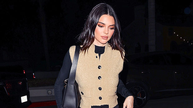 Kendall Jenner Slays Leather Mini Skirt For Night Out With Hailey Baldwin.jpg