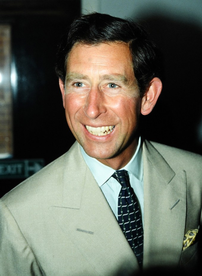 King Charles In 1990