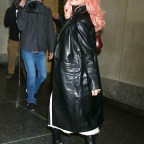 Shania Twain Pink Hair Makeover SS