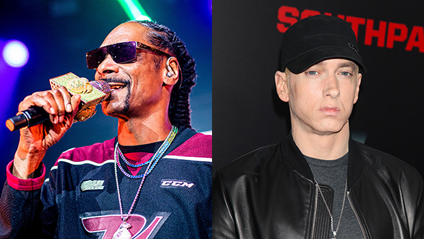 Dr. Dre Talks Snoop & Eminem 'Pulling Their Penises Out' At Super Bowl –  Hollywood Life