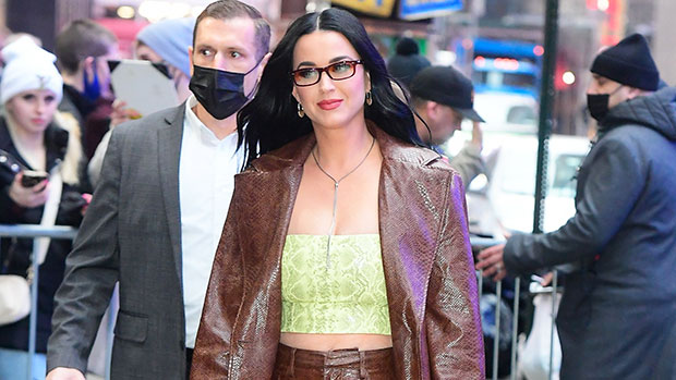 Katy Perry’s Yellow Leather Crop Top & Snakeskin Outfit – Photos ...