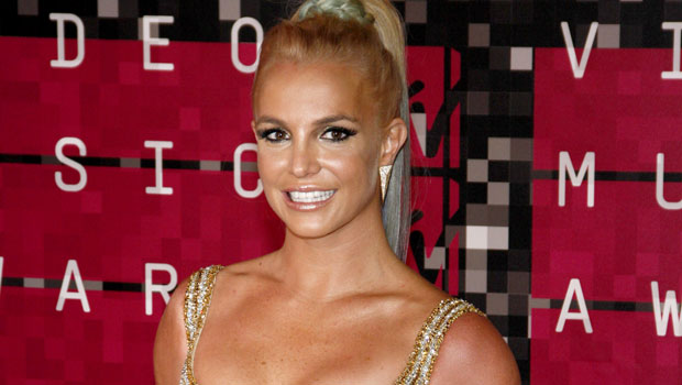 Britney Spears Returns To Instagram In Sheer Crop Top & Velvet Miniskirt: Photos