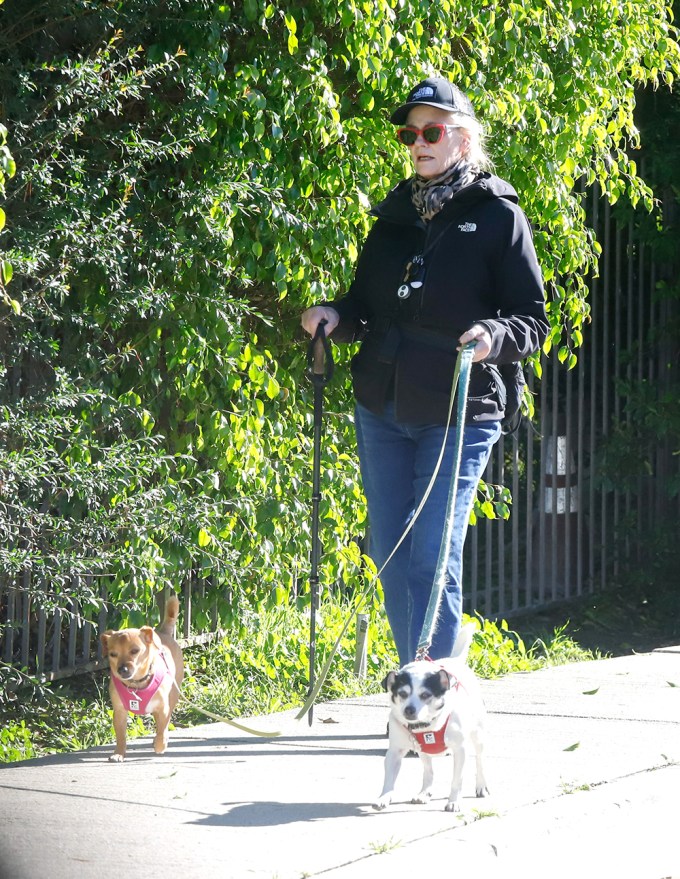 Cybill Shepherd Walks Her Dogs In Los Angeles