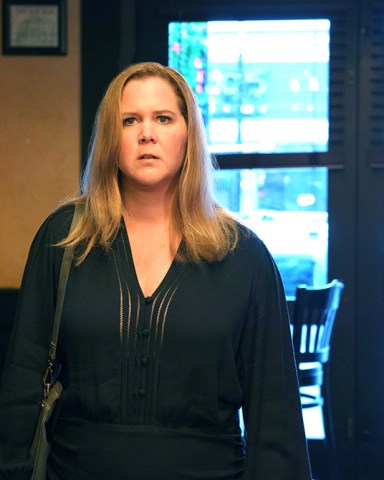 Life & Beth -- “We’re Grieving” - Episode 102 -- Beth and Matt head to Long Island to arrange a fast funeral for her mother. Beth starts to dig through her past. Beth (Amy Schumer), shown. (Photo by: Jeong Park/Hulu)