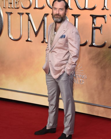 Jude Law
'Fantastic Beasts The Secrets of Dumbledore' film premiere, Royal Festival Hall, London, UK - 29 Mar 2022