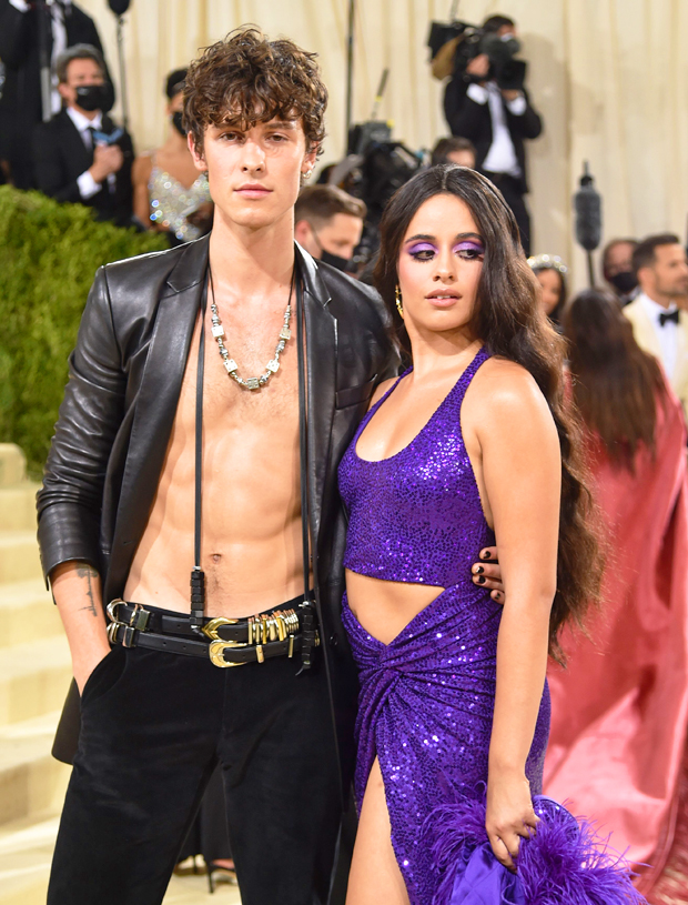 Shawn Mendes, Camila Cabello