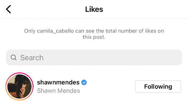 Camila Cabello's Instagram likes