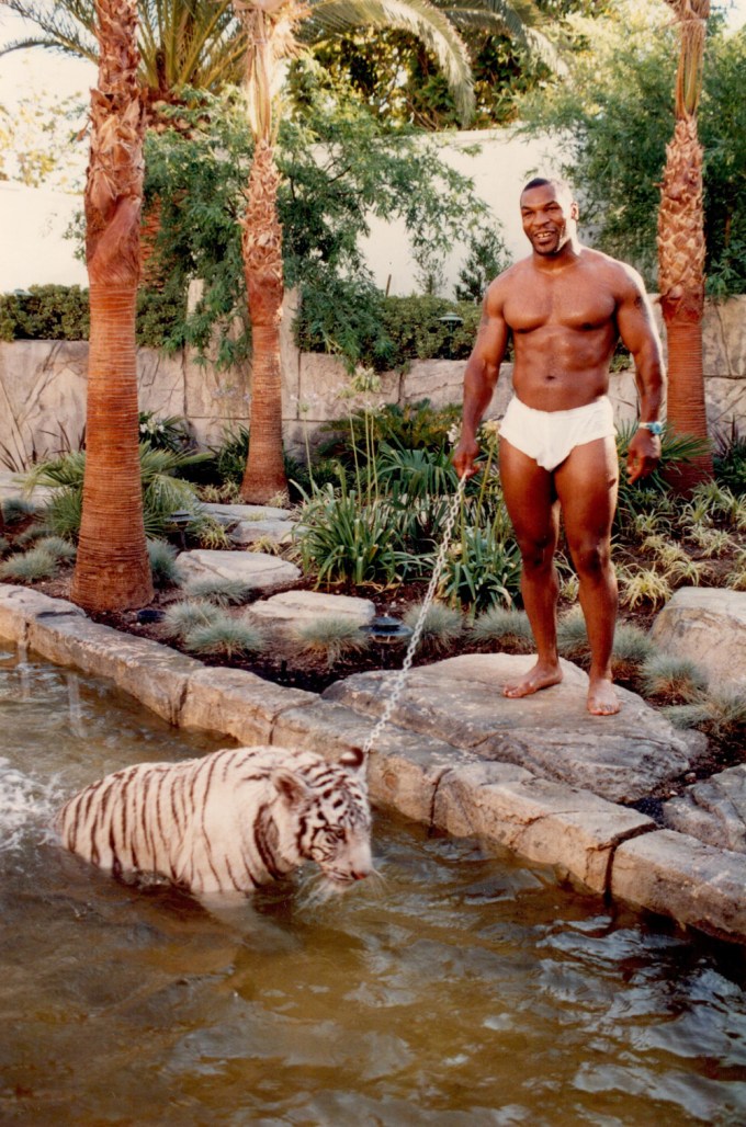 Mike Tyson & His Tiger