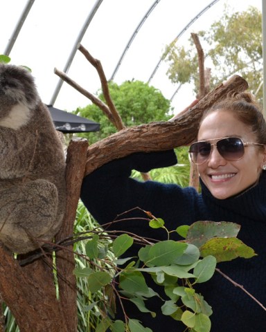 Jennifer Lopez says g'day to a koala at the Wild Life Sydney Zoo attraction. J Lo did the tourist thing in Sydney, Australia, on Saturday, Dec 15. She took her two children and boyfriend Casper Smart to the venue in the city's Darling Harbour. Caring J Lo also made a donation to the zoo's Wild Life Conservation Fund while she was there. She was in Sydney for her Australian tour. *Byline must read WILD LIFE Sydney Zoo / Splash   Pictured: J Lo meets a koala in Sydney Australia. Ref: SPL472287 161212 NON-EXCLUSIVE Picture by: SplashNews.com  Splash News and Pictures USA: +1 310-525-5808 London: +44 (0)20 8126 1009 Berlin: +49 175 3764 166 photodesk@splashnews.com  World Rights