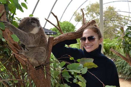 Jennifer Lopez says g'day to a koala at the Wild Life Sydney Zoo attraction.J Lo did the tourist thing in Sydney, Australia, on Saturday, Dec 15.She took her two children and boyfriend Casper Smart to the venue in the city's Darling Harbour.Caring J Lo also made a donation to the zoo's Wild Life Conservation Fund while she was there.She was in Sydney for her Australian tour.*Byline must read WILD LIFE Sydney Zoo / SplashPictured: J Lo meets a koala in SydneyAustralia.Ref: SPL472287 161212 NON-EXCLUSIVEPicture by: SplashNews.comSplash News and PicturesUSA: +1 310-525-5808London: +44 (0)20 8126 1009Berlin: +49 175 3764 166photodesk@splashnews.comWorld Rights