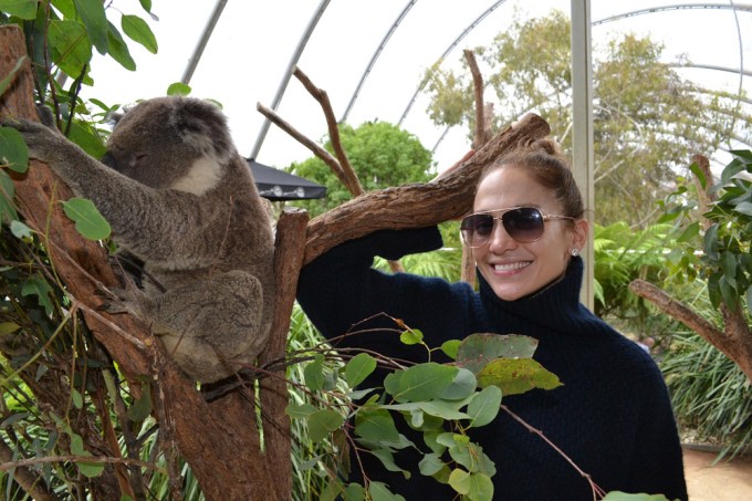 Jennifer Lopez & A Koala
