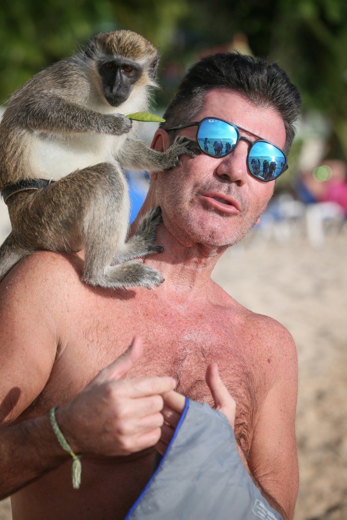 Simon Cowell & A Monkey
