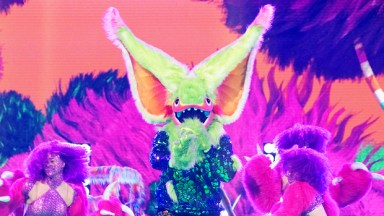 The Masked Singer