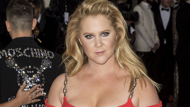 Amy schumer nude images