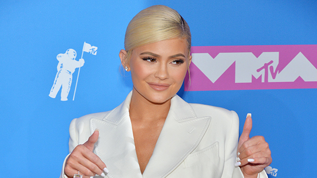 Kylie Jenner's Son's Louis Vuitton Teddy Bear Costs $20K: Details