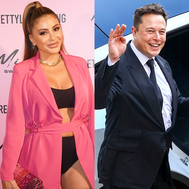 Larsa Pippen, Elon Musk