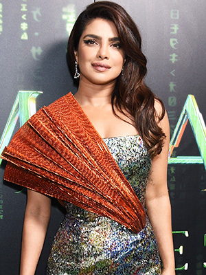 Indian Model Priyanka Chopra In Traditional Red Saree | Priyanka chopra, Priyanka  chopra hot, Priyanka chopra saree