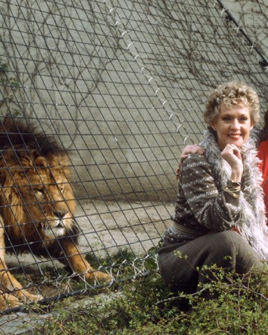 TIPPI HEDREN AND MELANIE GRIFFITH
Various - Mar 1982