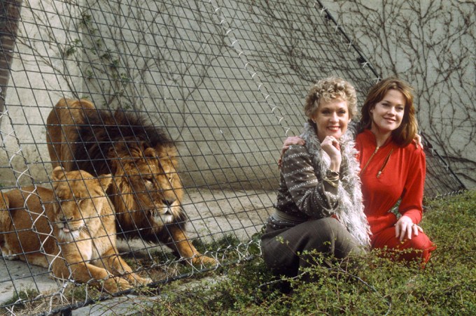 Tippi Hedren & Melanie Griffith With Lions