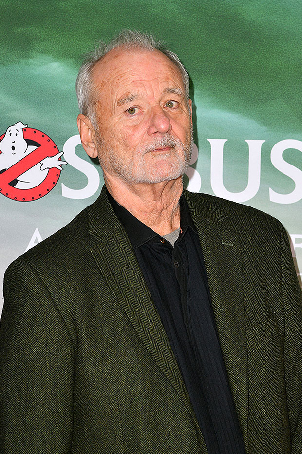 Bill Murray Reacts To Inappropriate Behavior Complaint & Film Shut Down –  Hollywood Life