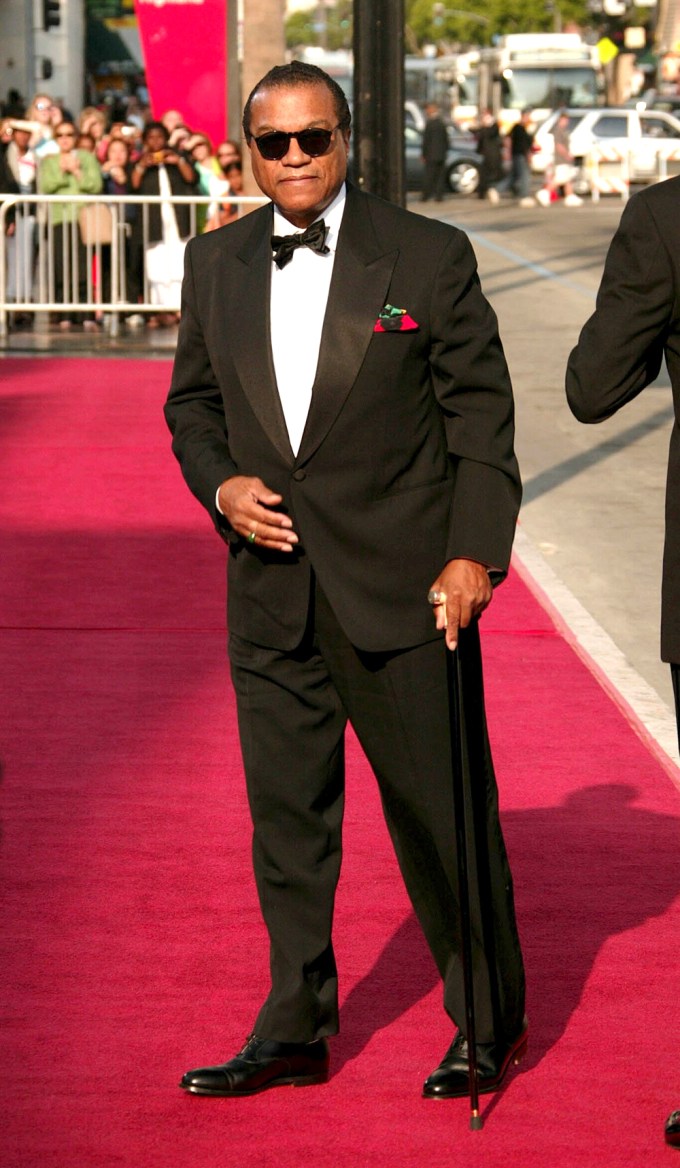 Billy Dee Williams In 2005