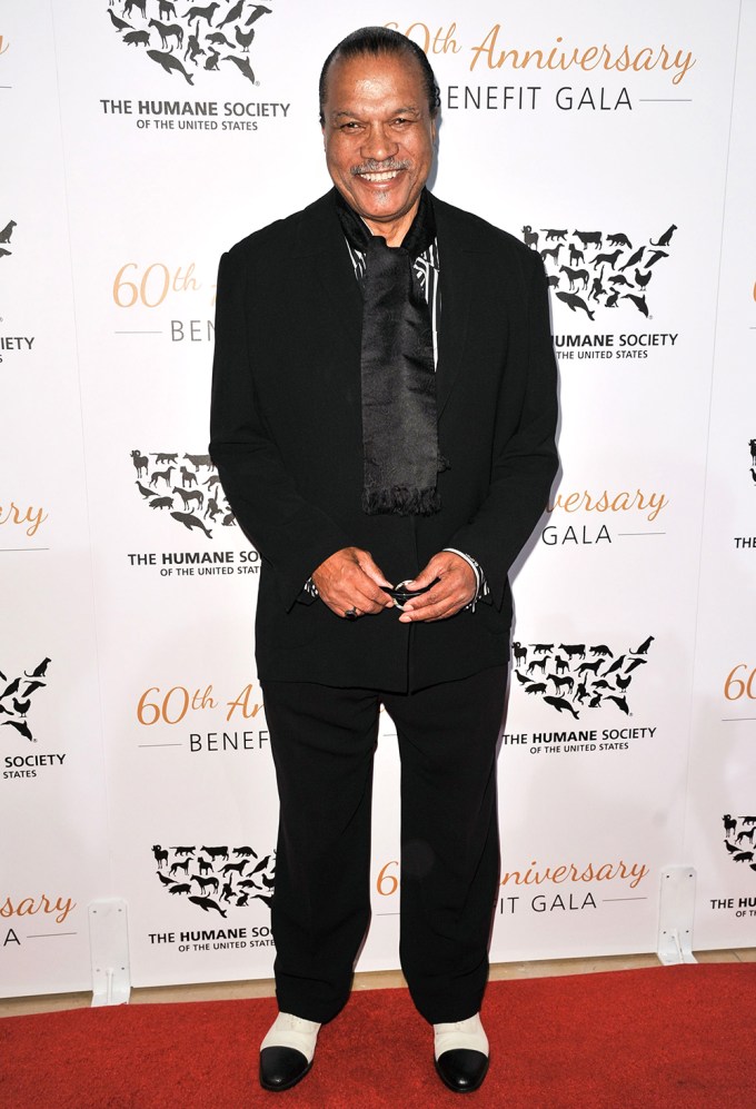 Billy Dee Williams In 2014